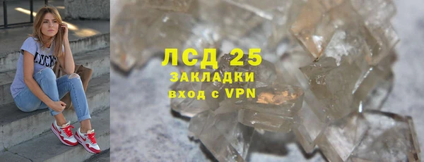 mdpv Бородино